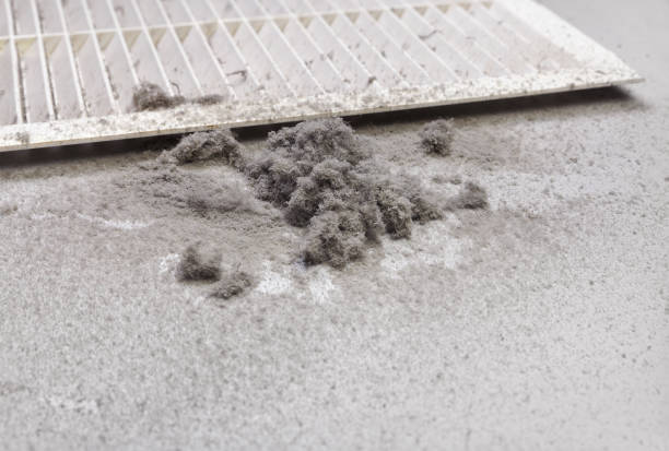 Best Ductwork Cleaning Services  in Unicoi, TN