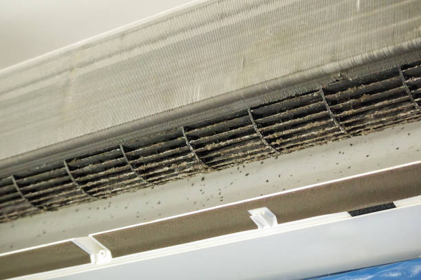 Best HVAC Maintenance and Cleaning  in Unicoi, TN